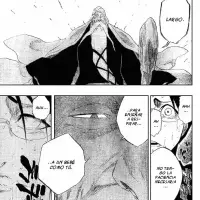 Bleach capítulo 155