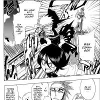 Bleach capítulo 196