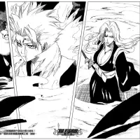 Bleach capítulo 210