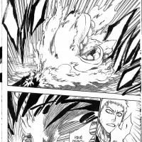Bleach capítulo 220