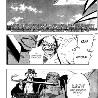 Bleach capítulo 235