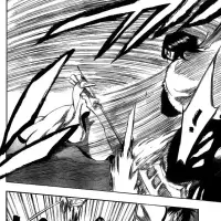 Bleach capítulo 266