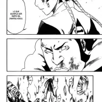 Bleach capítulo 333