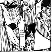 Bleach capítulo 339