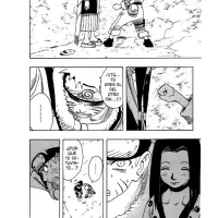 Naruto capítulo 29