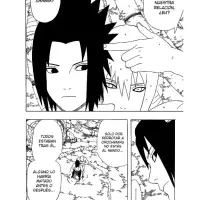 Naruto capítulo 347
